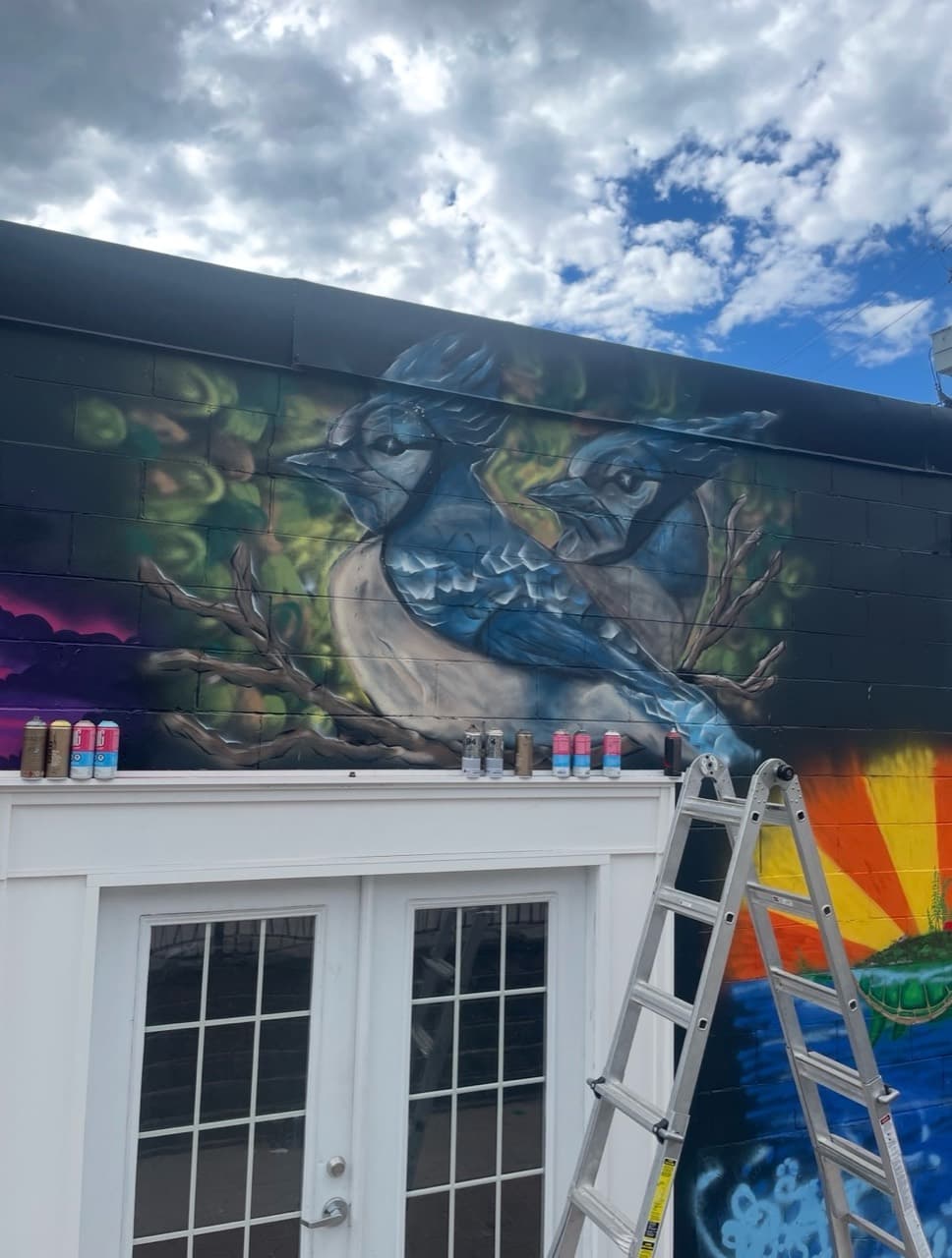 Two blue jays painted by Quinton Trott above a doorway on a black alley wall in Downtown Barrie
